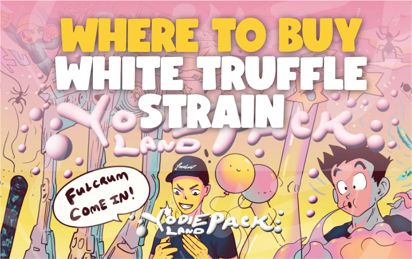 where to buy white truffle strain