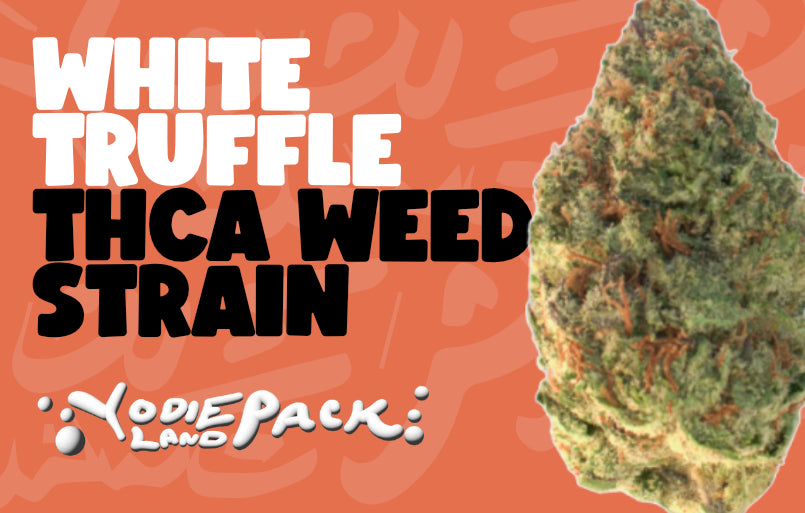 white truffle thca weed strain